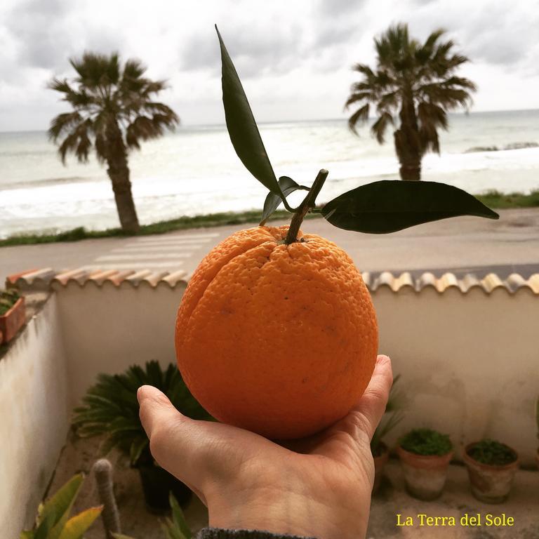 דירות Terra Del Sole ריברה מראה חיצוני תמונה